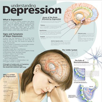 Poster laminado  medidas 66 cm x 51 cm entendiendo la depres